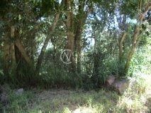 Terreno à venda , 1280m², Avenida Joaquim Martins da Silva no bairro Belém Novo em Porto Alegre