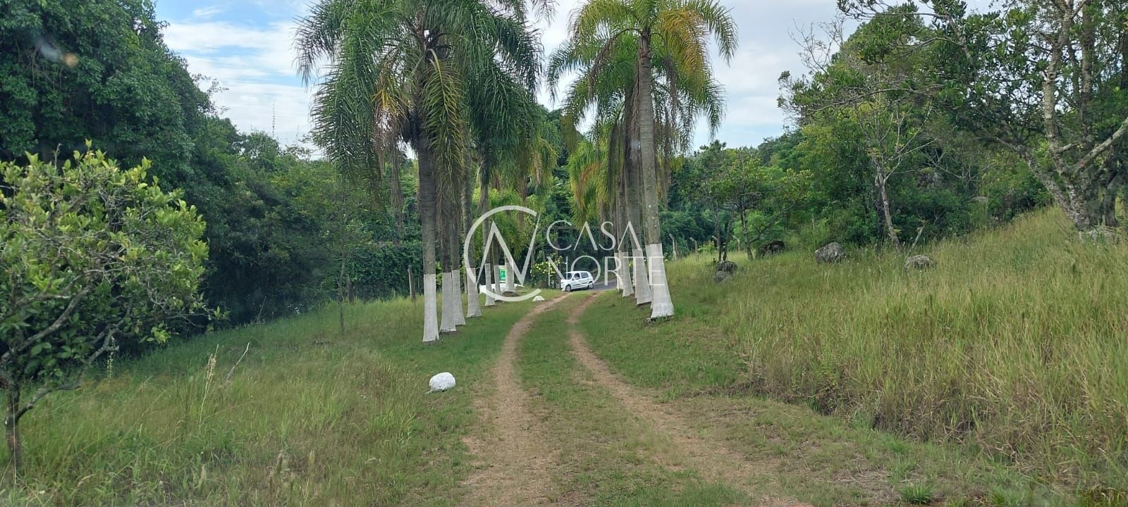 Sítio à venda com 4 quartos, 9m², 2 vagas, Estrada Costa Gama no bairro Belém Velho em Porto Alegre