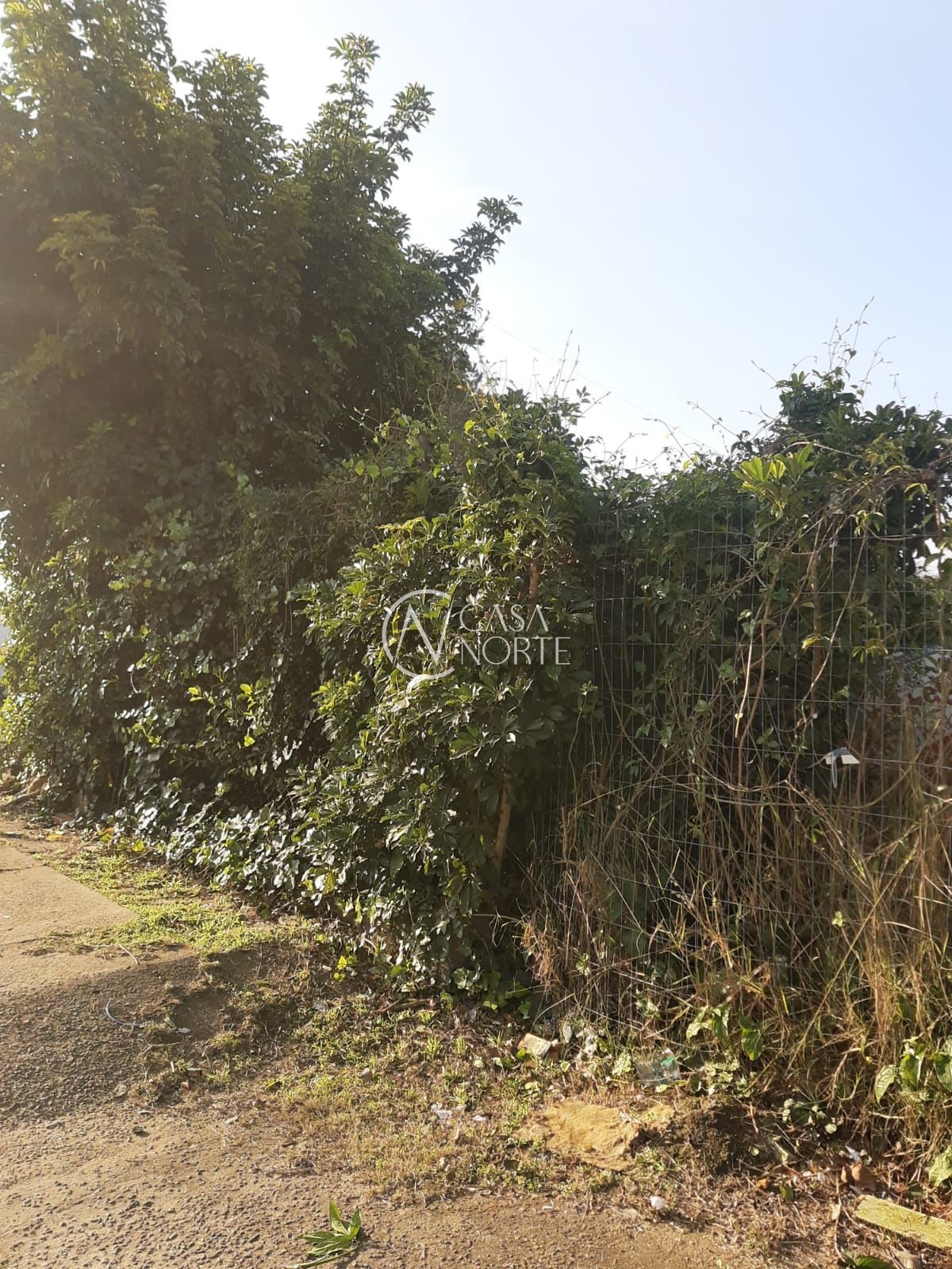 Terreno à venda , 341m², Avenida Eduardo Prado no bairro Cavalhada em Porto Alegre