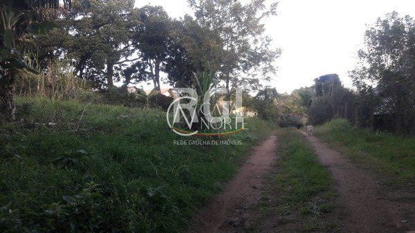 Terreno à venda , 1000m², Estrada Maria Altina no bairro Hípica em Porto Alegre