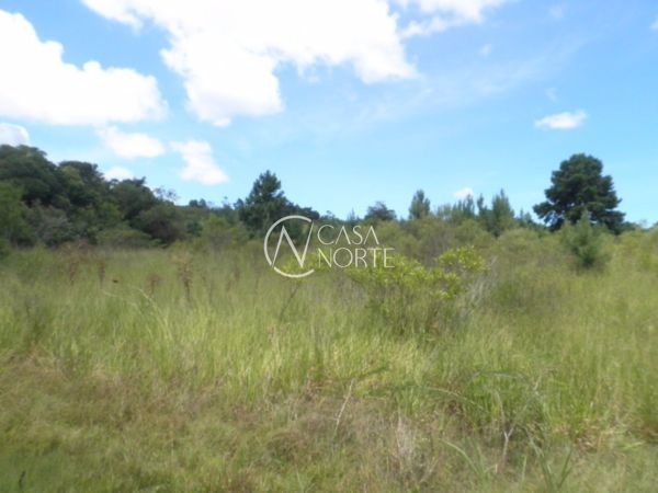 Terreno à venda , 96176m², Estrada Jacques da Rosa no bairro Lageado em Porto Alegre