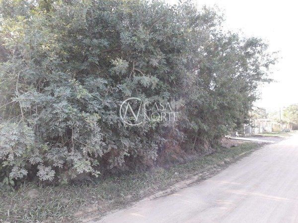 Terreno à venda , 1000m², Rua A, Loteamento Jardim Floresta, Quadra Q, Lote 2. no bairro Lami em Porto Alegre