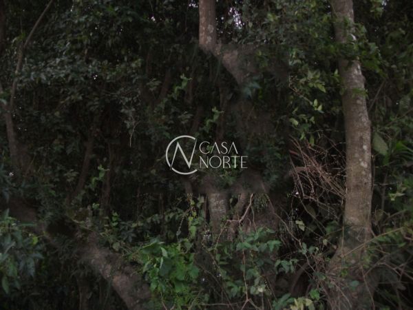 Terreno à venda , 1350m², Avenida Edgar Pires de Castro no bairro Aberta dos Morros em Porto Alegre