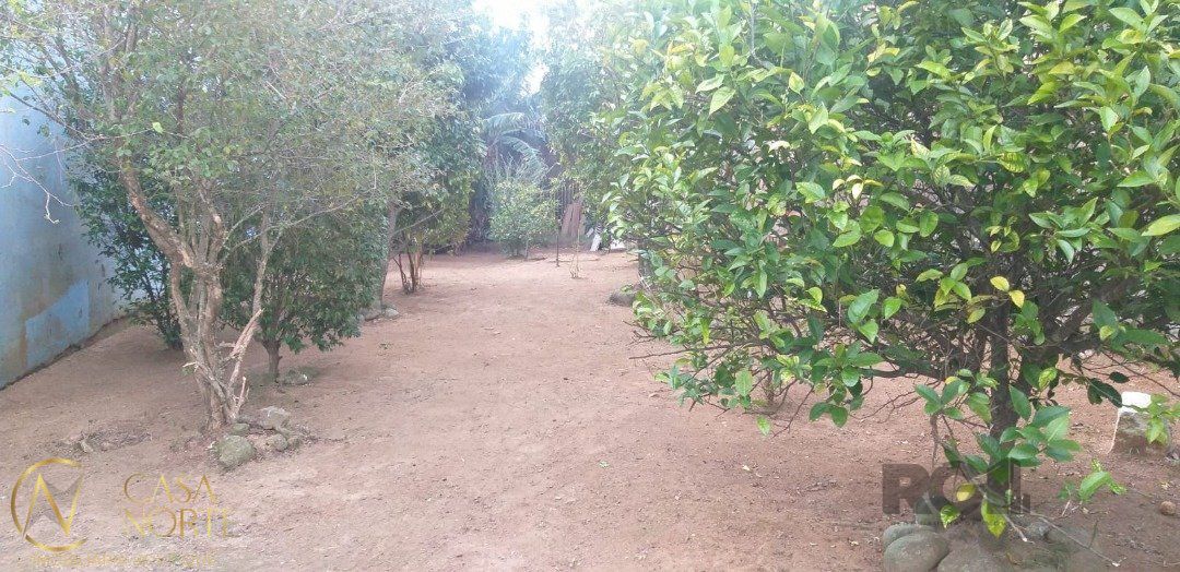 Terreno à venda  com 218m², Rua dos Colibris no bairro Lomba do Pinheiro em Porto Alegre