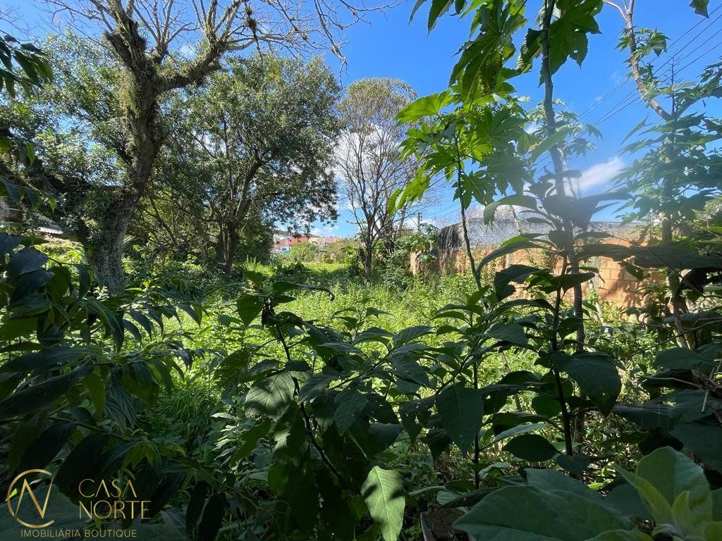 Terreno à venda  com 2394m², Estrada Campo Novo no bairro Ipanema em Porto Alegre