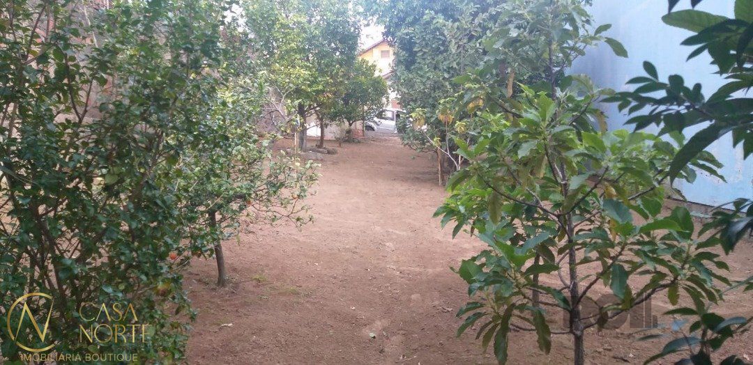 Terreno à venda  com 218m², Rua dos Colibris no bairro Lomba do Pinheiro em Porto Alegre