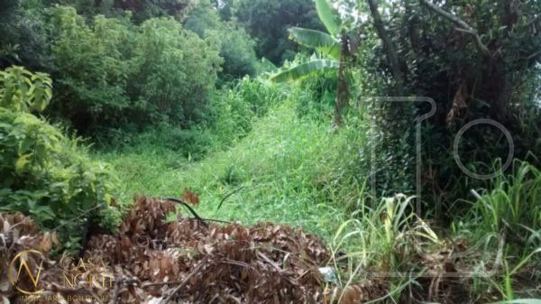 Terreno à venda  com 1104m², Pedro Rodrigues Bittencourt no bairro Vila Nova em Porto Alegre