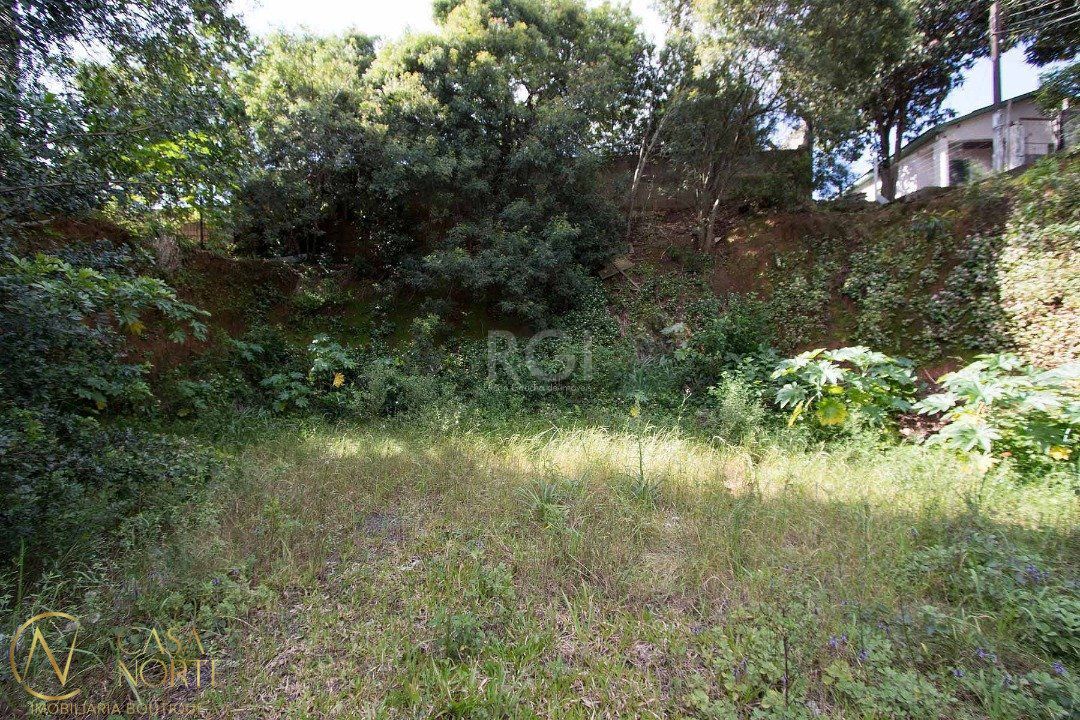 Terreno à venda  com 660m², Avenida Otto Niemeyer no bairro Tristeza em Porto Alegre