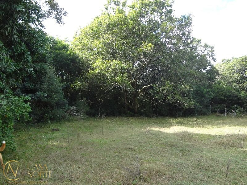 Terreno à venda  com 145000m², Estrada do Varejao no bairro Lami em Porto Alegre