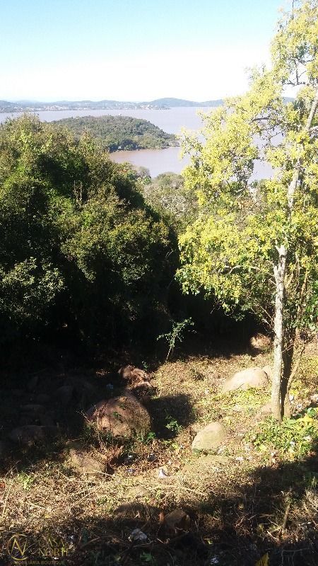 Terreno à venda  com 778m², Rua Coronel Gomes de Carvalho no bairro Sétimo Céu em Porto Alegre
