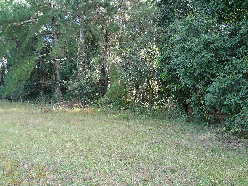 Terreno à venda  com 145000m², Estrada do Varejao no bairro Lami em Porto Alegre