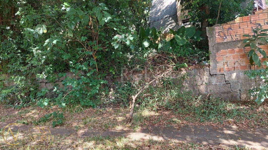 Terreno à venda  com 470m², Rua General Francisco de Paula Cidade no bairro Chácara das Pedras em Porto Alegre