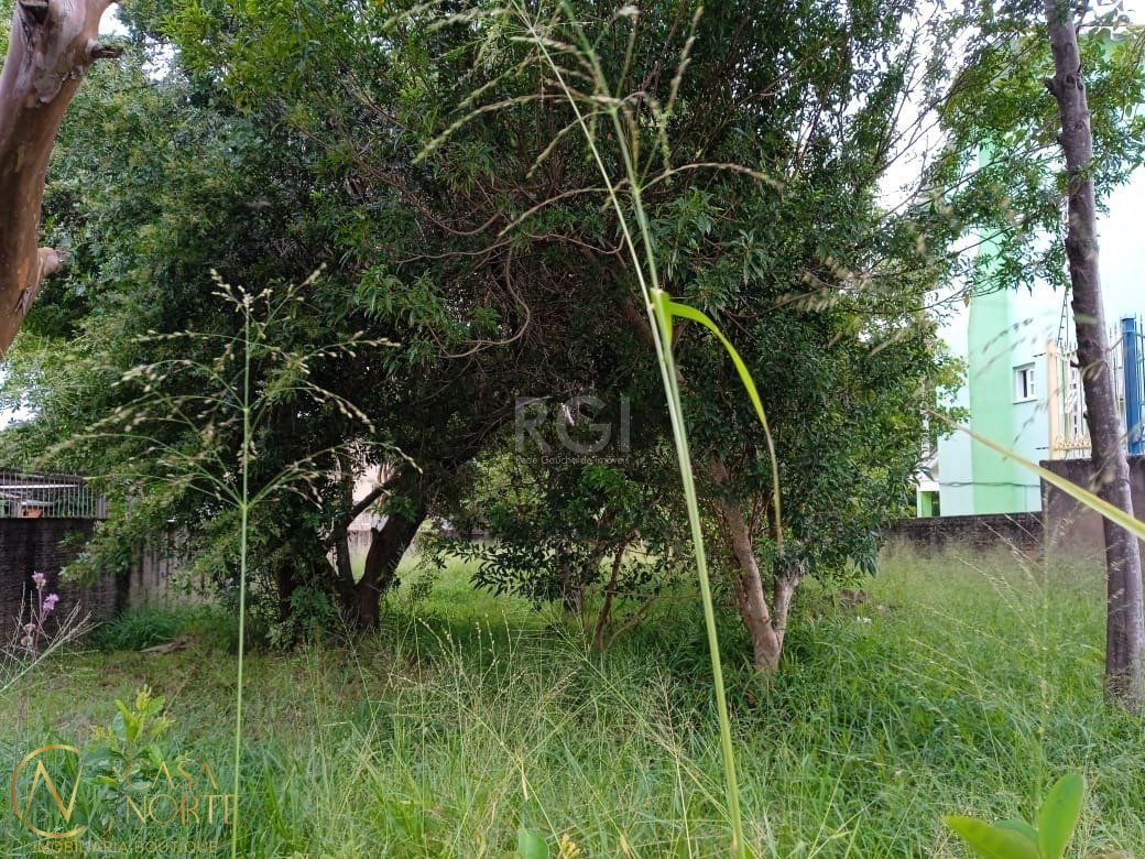 Terreno à venda  com 368m², Rua Doutor Mário Totta no bairro Tristeza em Porto Alegre