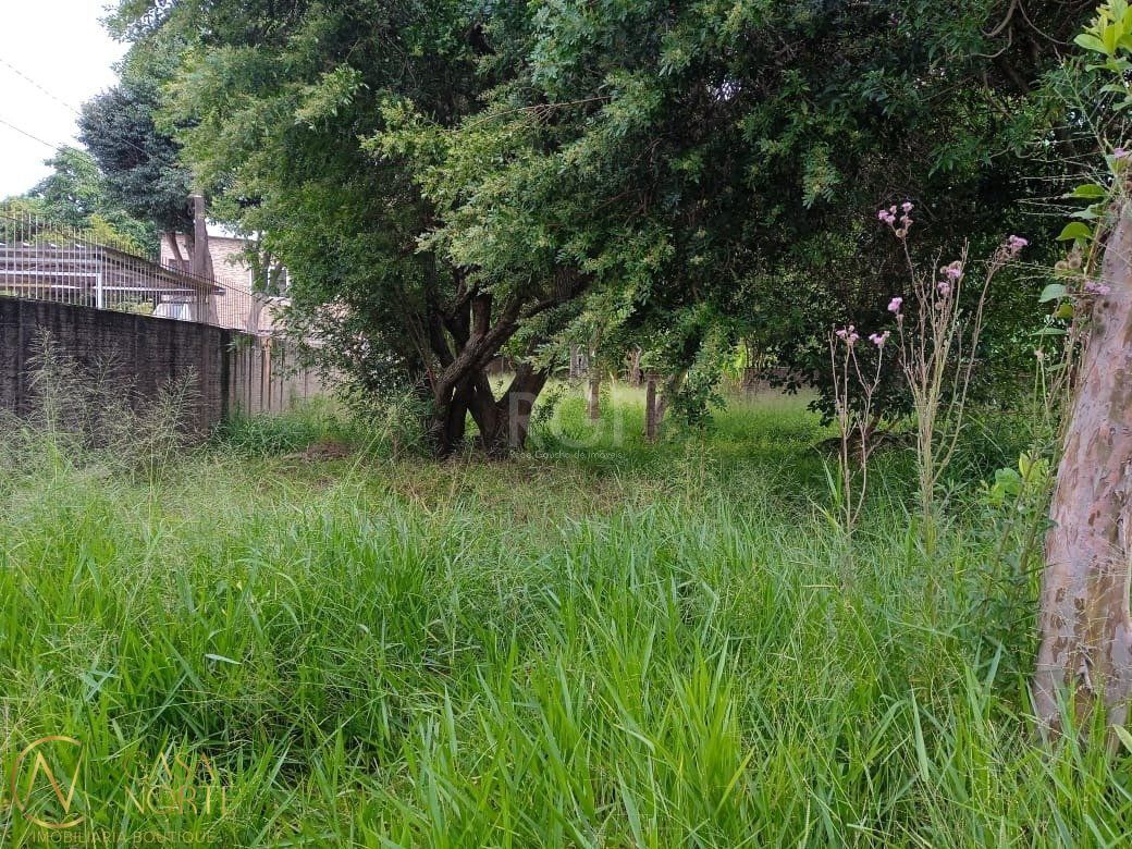 Terreno à venda  com 368m², Rua Doutor Mário Totta no bairro Tristeza em Porto Alegre