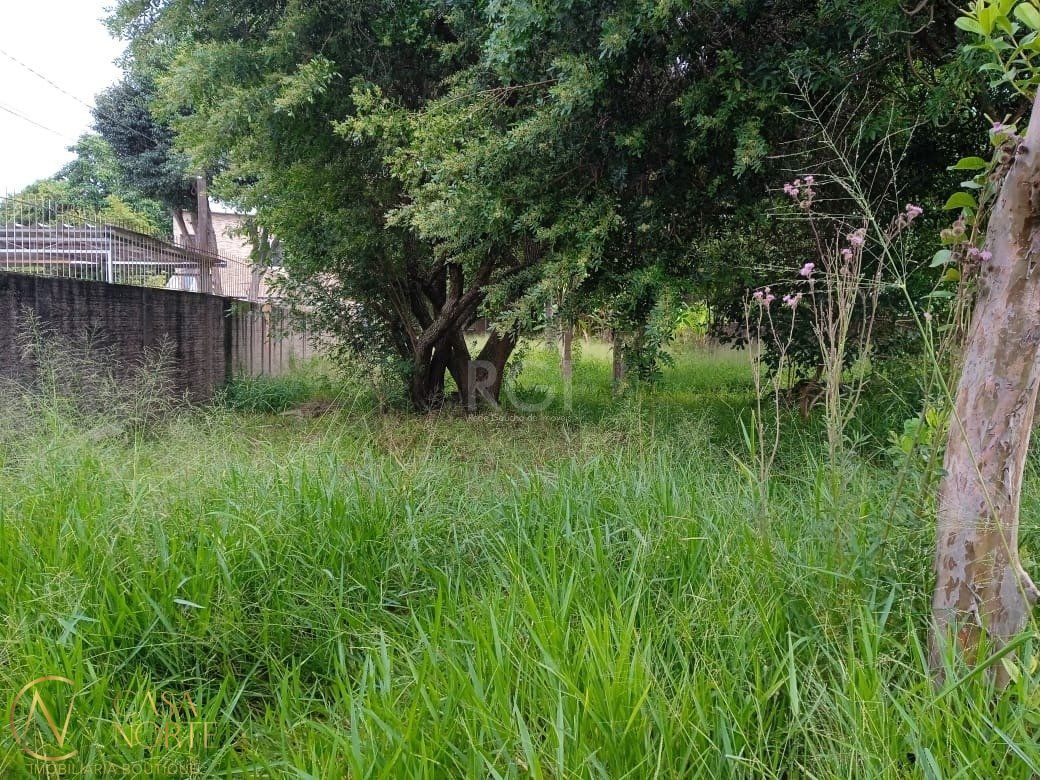 Terreno à venda  com 368m², Rua Doutor Mário Totta no bairro Tristeza em Porto Alegre