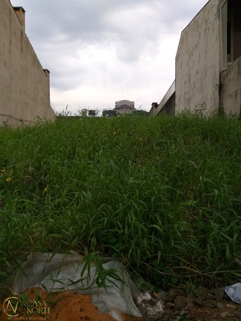 Terreno à venda  com 484m², Rua Upamaroti no bairro Cristal em Porto Alegre