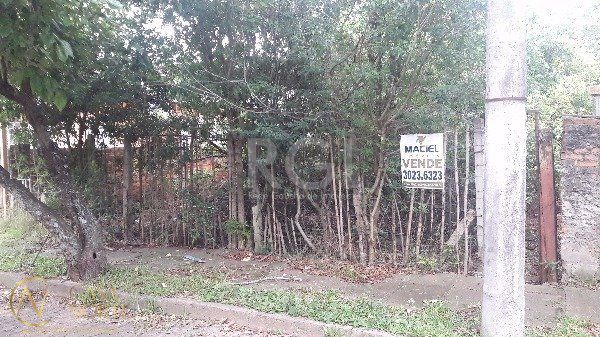 Terreno à venda  com 200m², Rua Carlos José Michelon no bairro Vila Nova em Porto Alegre