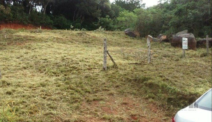 Terreno à venda  com 800m², Estrada Jacques da Rosa no bairro Lageado em Porto Alegre