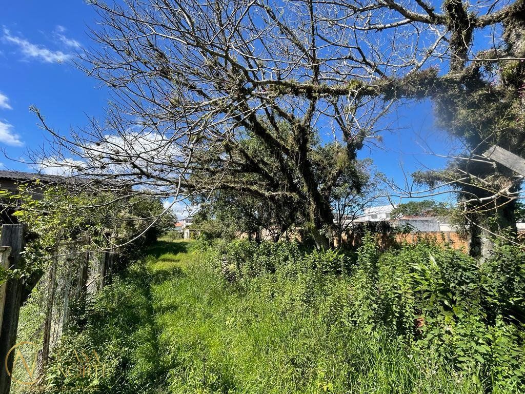 Terreno à venda  com 2394m², Estrada Campo Novo no bairro Ipanema em Porto Alegre