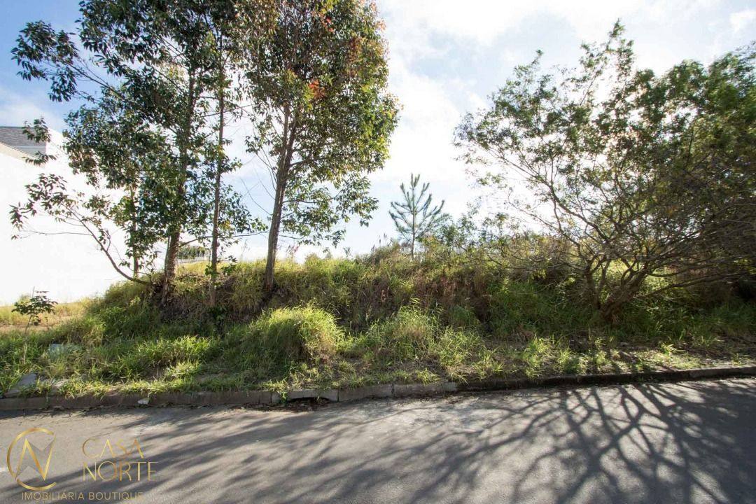 Terreno à venda  com 228m², Avenida da Serraria no bairro Espírito Santo em Porto Alegre