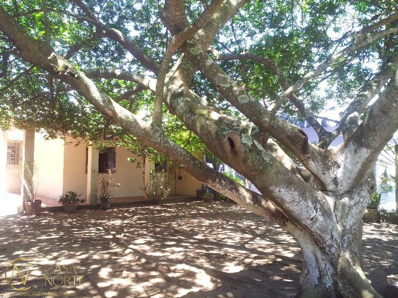 Casa à venda com 2 quartos, 100m², Avenida Beira Rio no bairro Lami em Porto Alegre