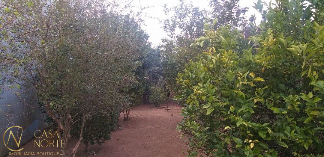 Terreno à venda  com 218m², Rua dos Colibris no bairro Lomba do Pinheiro em Porto Alegre