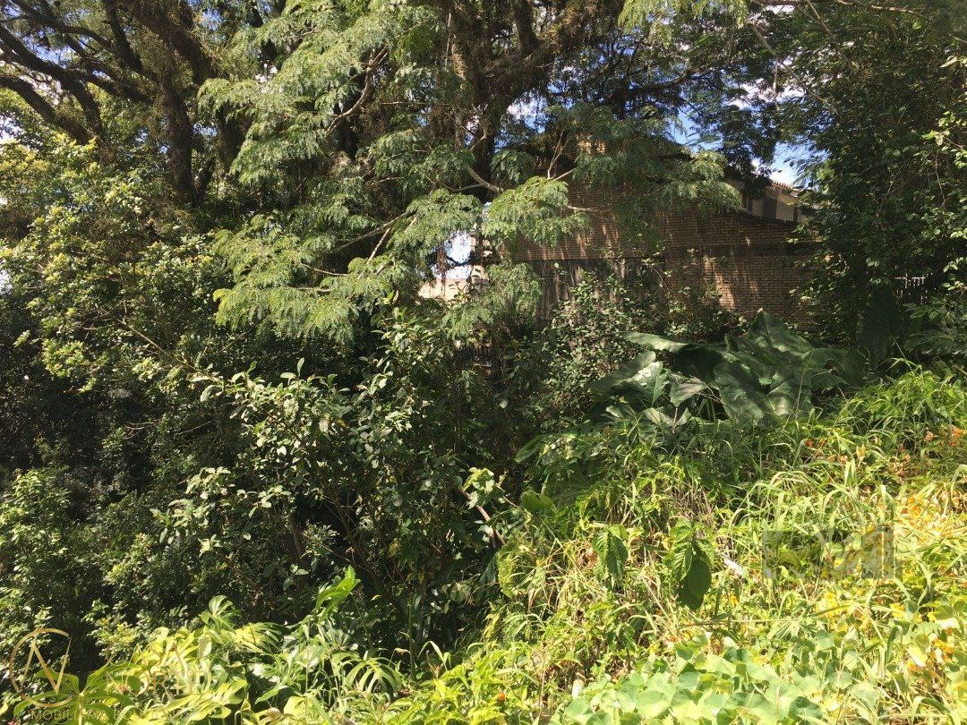 Terreno à venda  com 671m², Rua Liberal no bairro Tristeza em Porto Alegre