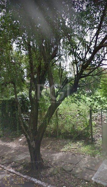 Terreno à venda  com 300m², Avenida Engenheiro Alfredo Correa Daudt no bairro Boa Vista em Porto Alegre