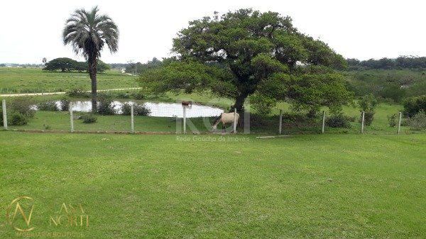 Sítio à venda com 1 quarto, 60m², Estrada do Varejao no bairro Lami em Porto Alegre