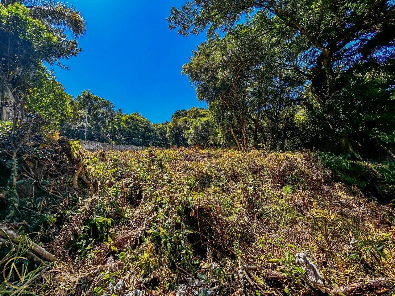 Terreno à venda  com 914m², Avenida Guaíba no bairro Ipanema em Porto Alegre