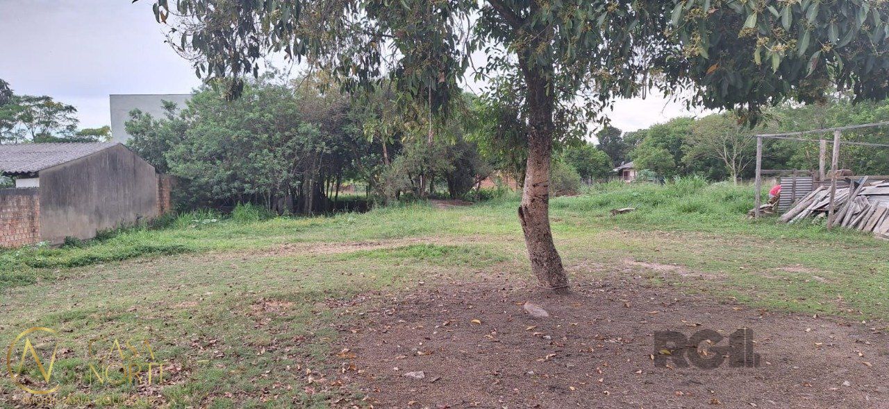 Terreno à venda , 2000m², Beco Oito Mil e Dezesseis no bairro Lageado em Porto Alegre