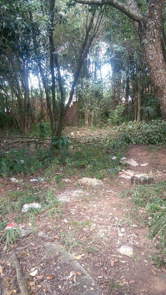 Terreno à venda  com 300m², Avenida João Antônio Silveira no bairro Lomba do Pinheiro em Porto Alegre