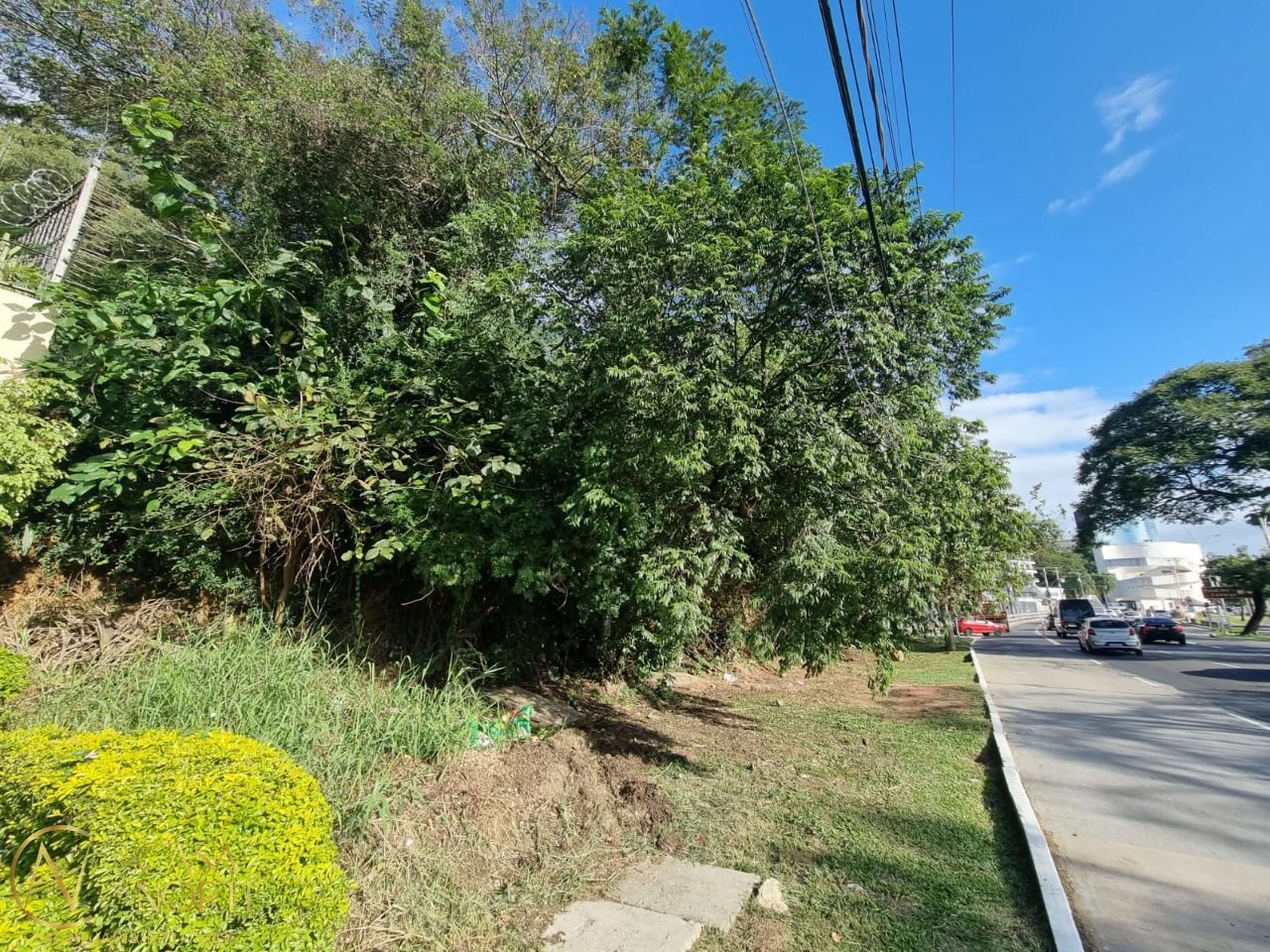 Terreno à venda  com 564m², Avenida Pinheiro Borda no bairro Cristal em Porto Alegre