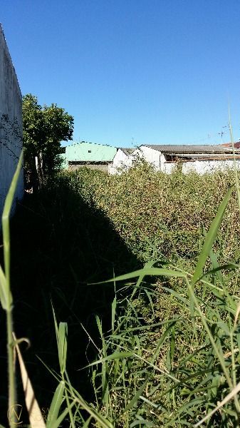 Terreno à venda  com 500m², Estrada Retiro da Ponta Grossa no bairro Ponta Grossa em Porto Alegre