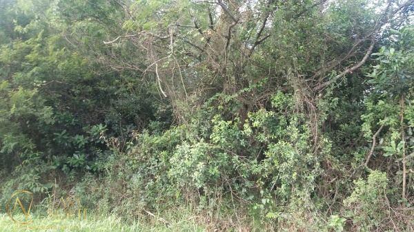 Terreno à venda  com 2100m², Estrada João Antônio Silveira no bairro Restinga em Porto Alegre