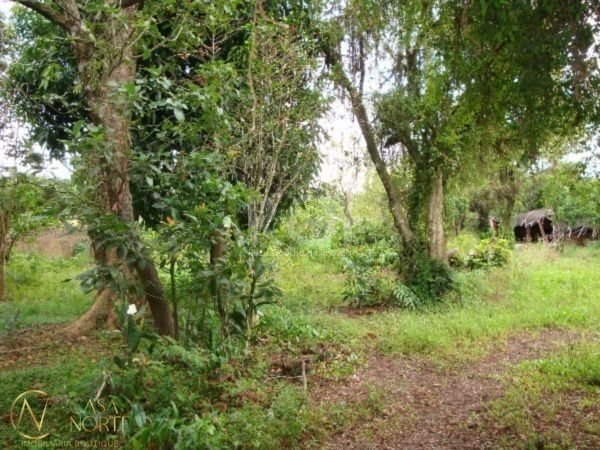 Terreno à venda  com 331m², Avenida do Lami no bairro Belém Novo em Porto Alegre