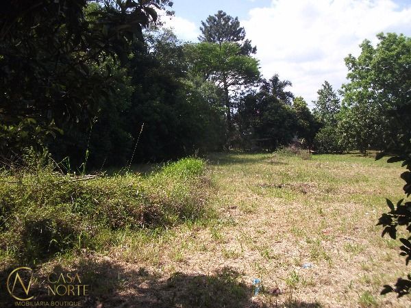 Terreno à venda  com 2100m², Rua Pedro Augusto Felden no bairro Aberta dos Morros em Porto Alegre