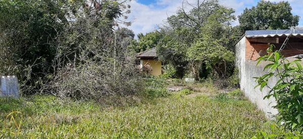 Terreno à venda  com 484m², Rua Gavea no bairro Ipanema em Porto Alegre