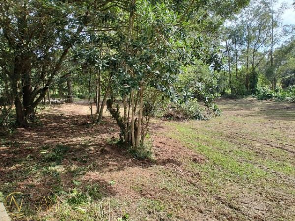 Sítio à venda , 6120m², Rua Adão Martins da Rocha no bairro São Caetano em Porto Alegre