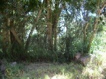 Terreno à venda  com 1280m², Avenida Joaquim Martins da Silva no bairro Belém Novo em Porto Alegre