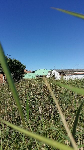 Terreno à venda  com 500m², Estrada Retiro da Ponta Grossa no bairro Ponta Grossa em Porto Alegre