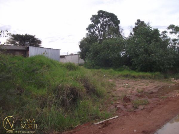 Terreno à venda  com 1350m², Avenida Edgar Pires de Castro no bairro Aberta dos Morros em Porto Alegre
