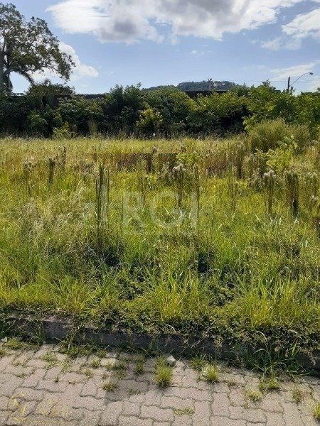 Terreno à venda  com 125m², Rua Francisco Mattos Terres no bairro Aberta dos Morros em Porto Alegre