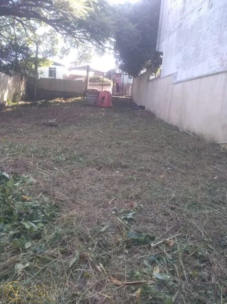 Terreno à venda  com 388m², Rua dos Coqueiros no bairro Espírito Santo em Porto Alegre