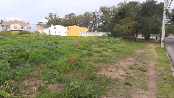 Terreno à venda , 3300m², Avenida Orleaes no bairro Guarujá em Porto Alegre