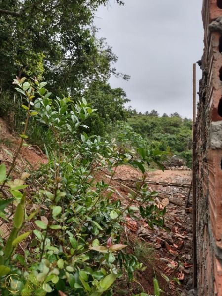 Terreno à venda  com 1120m², Rua Agenor Mendes Ouriques no bairro Serraria em Porto Alegre