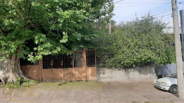 Terreno à venda  com 449m², Avenida Professor Oscar Pereira no bairro Glória em Porto Alegre