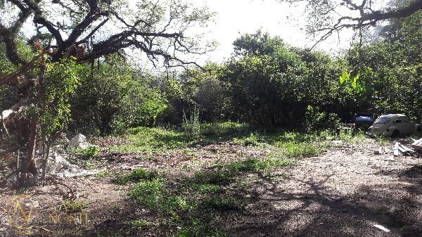 Terreno à venda  com 20000m², Rua Nelson Boeira Faedrich no bairro Lageado em Porto Alegre