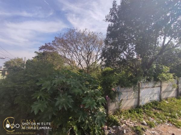 Terreno à venda  com 968m², Rua Doutor Raul Moreira no bairro Cristal em Porto Alegre