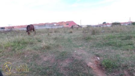 Terreno à venda  com 5670m², Estrada Costa Gama no bairro Hípica em Porto Alegre